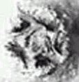 Hurricane Isabel Eye 2003.09.12